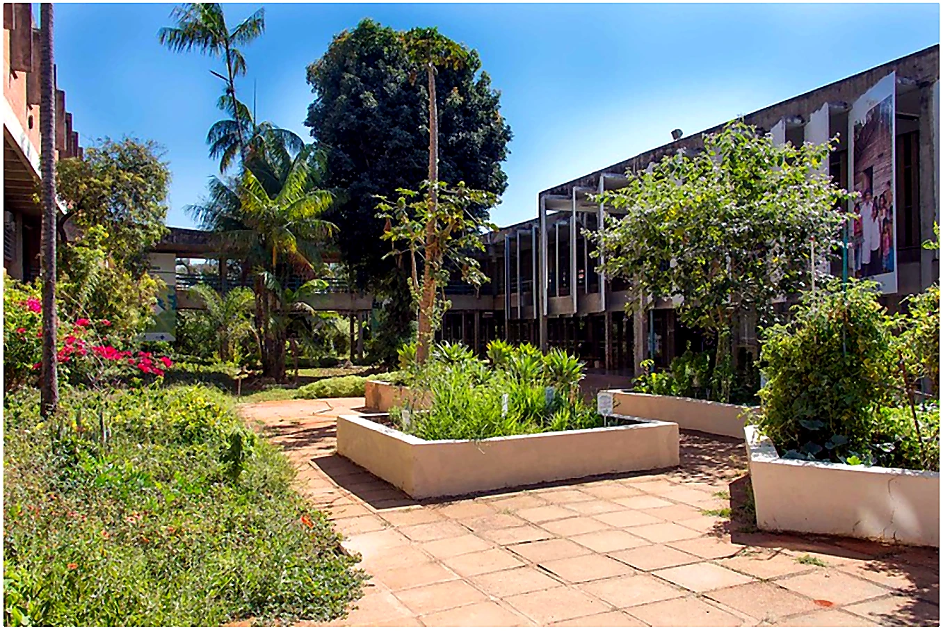 Faculdade de Medicina da Universidade de Brasília atualmente