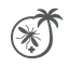 NMT