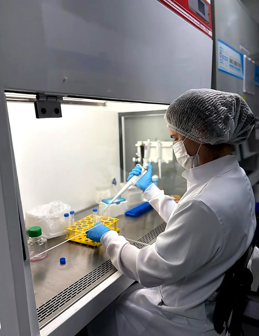 Cell culture biosafety cabinet