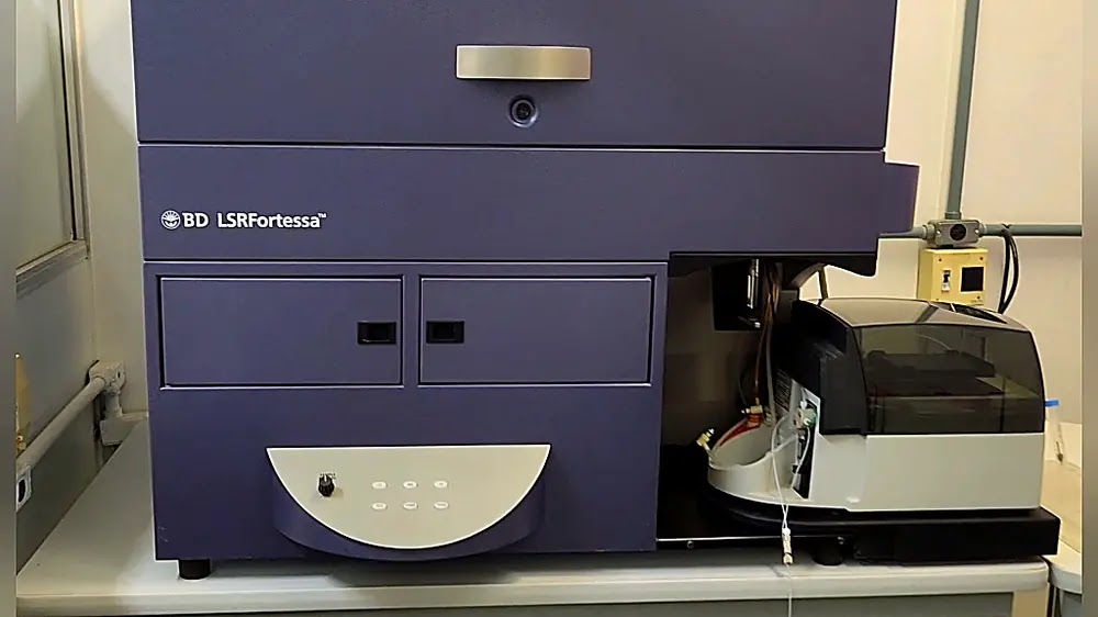 BD Biosciences LSRFortessa flow cytometer