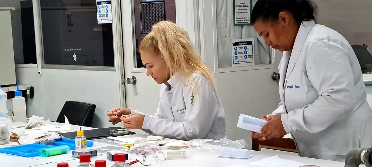 Postgraduate laboratory activity