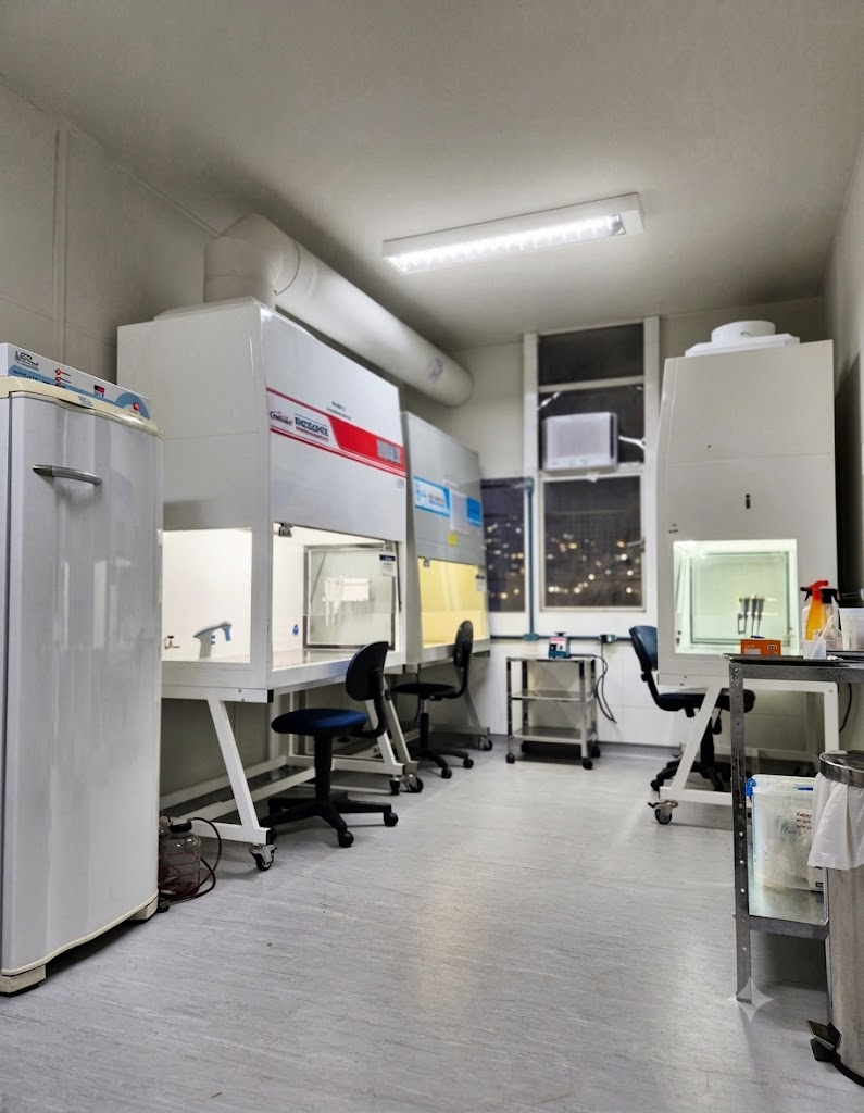 Cell culture room